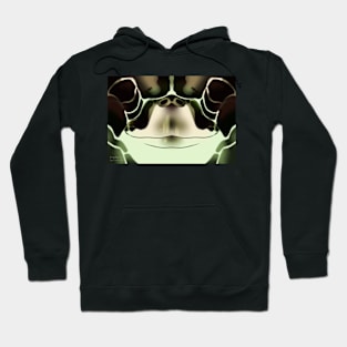 Sea Turtle Face Hoodie